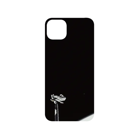 image-preview-3
