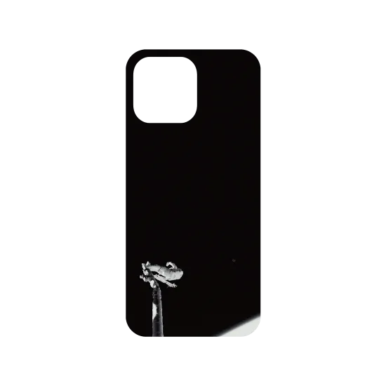 image-preview-3