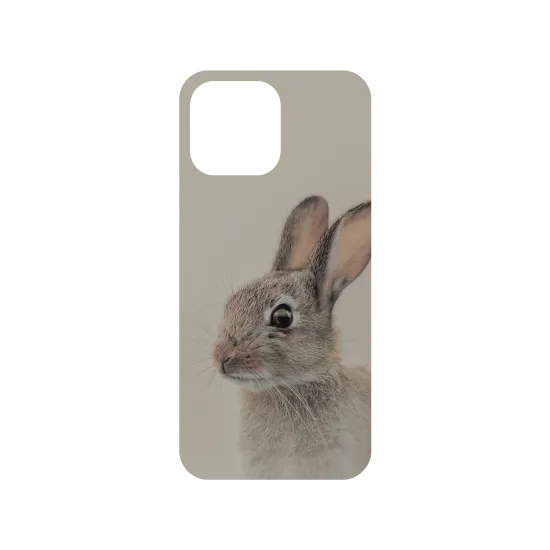 image-preview-3