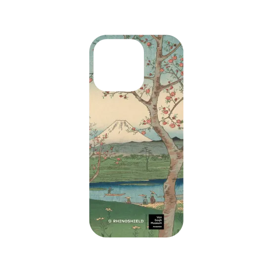 image-preview-3