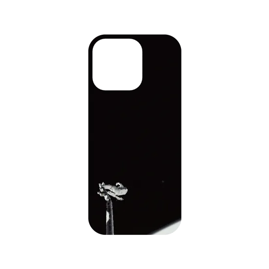 image-preview-3