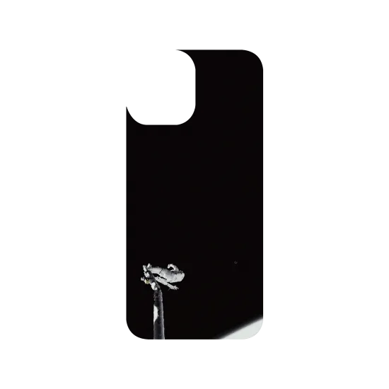 image-preview-3