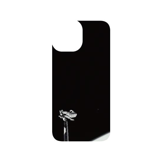 image-preview-3