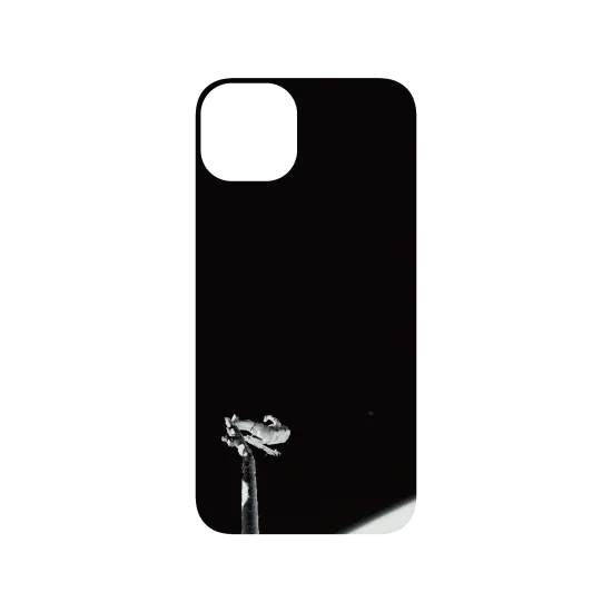 image-preview-3