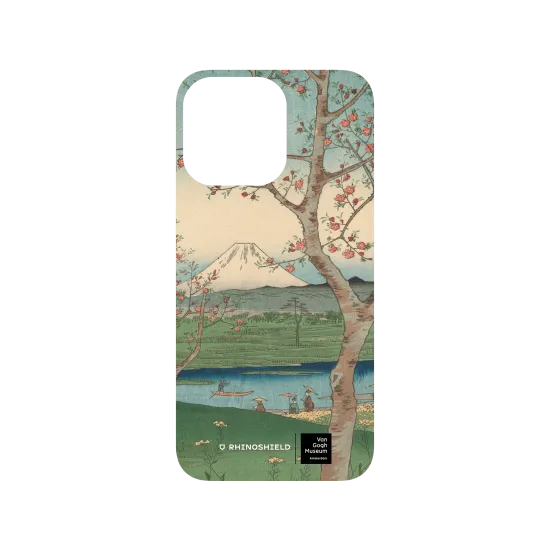 image-preview-3