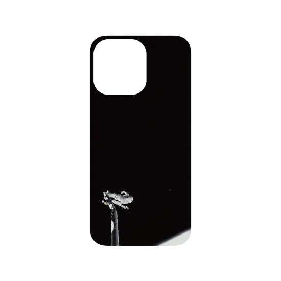 image-preview-3