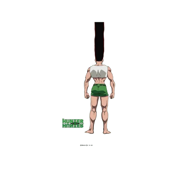 Hunter x Hunter The Oath SolidSuit iPhone 16 Pro