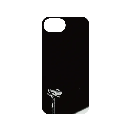 image-preview-3
