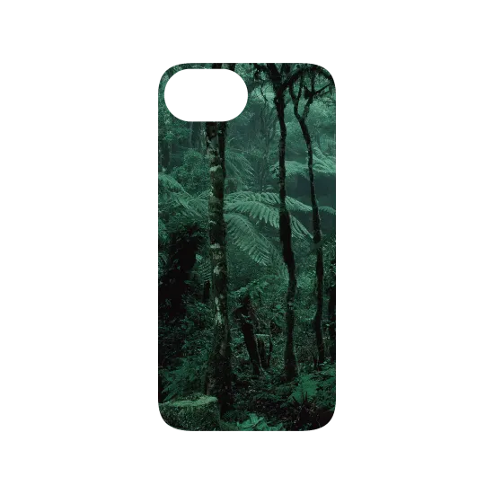 image-preview-3