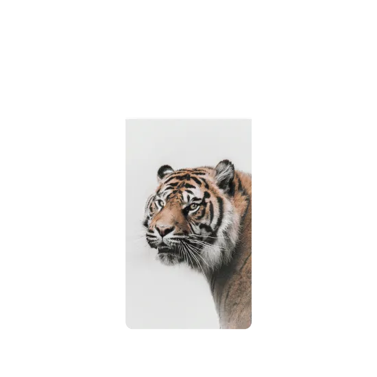 image-preview-2