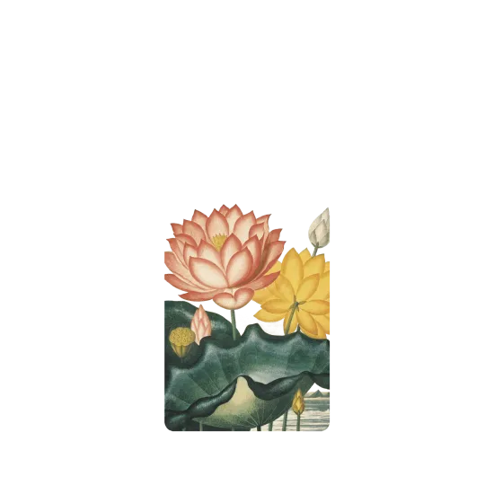 image-preview-2