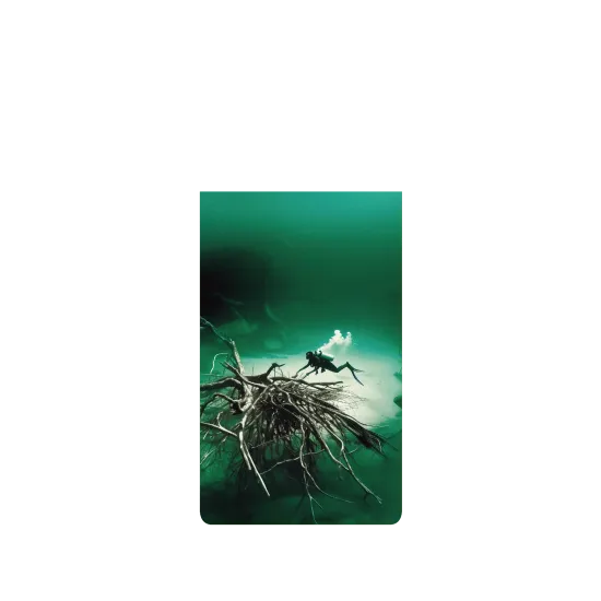 image-preview-2