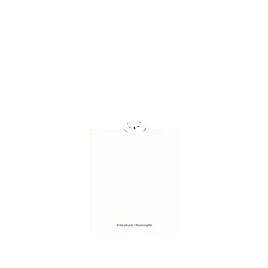 image-preview-2