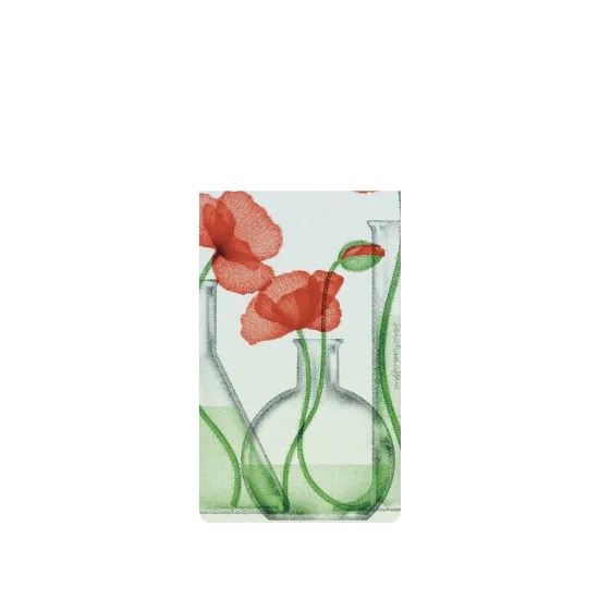 image-preview-2