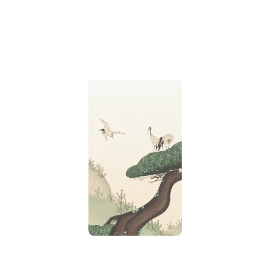 image-preview-2