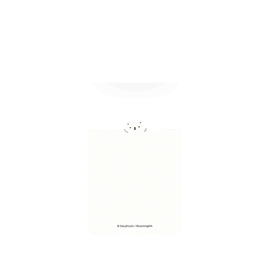 image-preview-2