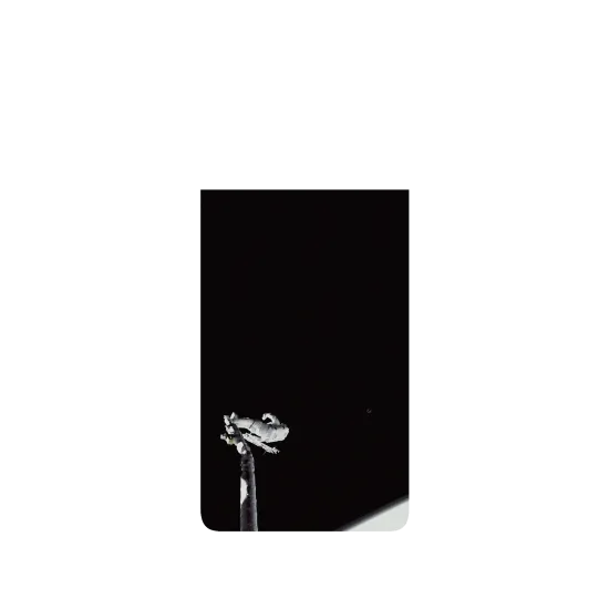image-preview-2