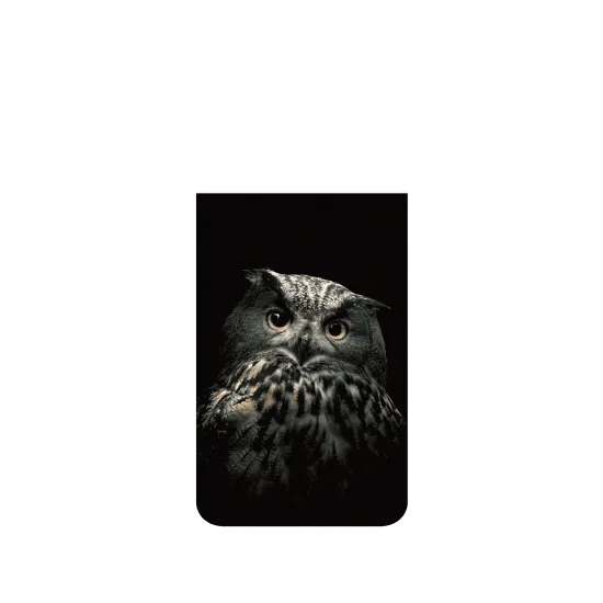 image-preview-2