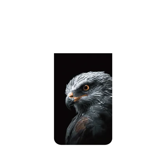 image-preview-2