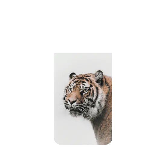 image-preview-2
