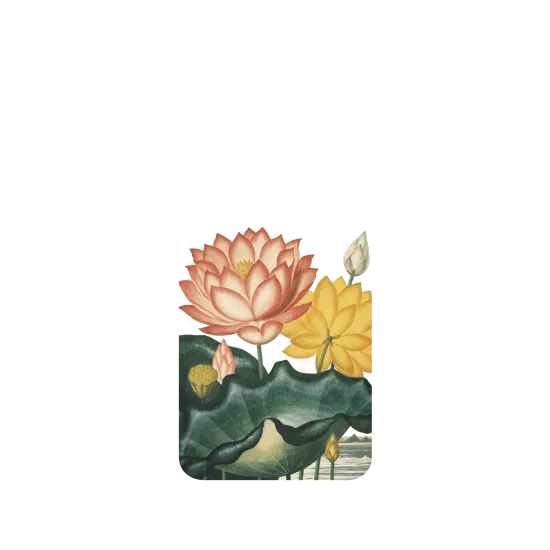 image-preview-2