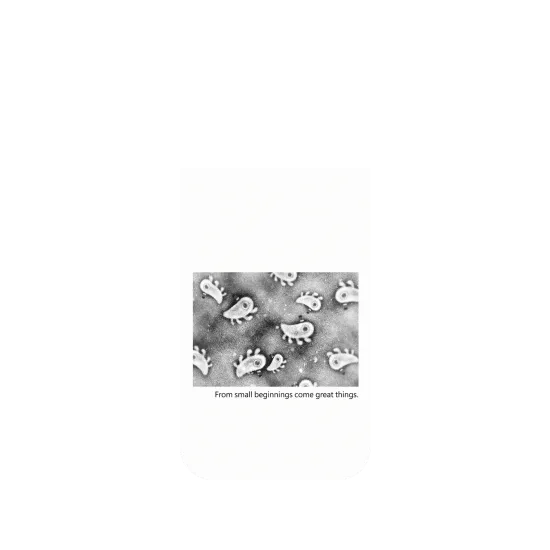 image-preview-2