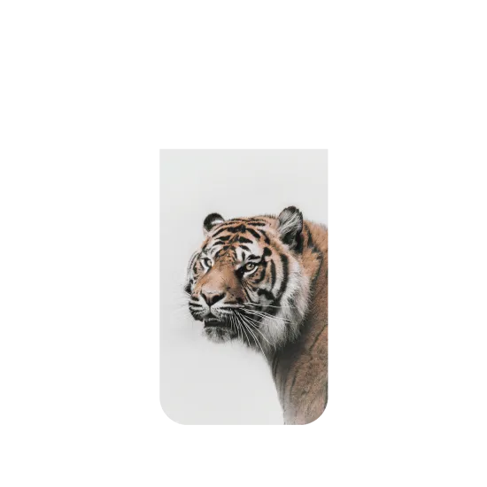 image-preview-2