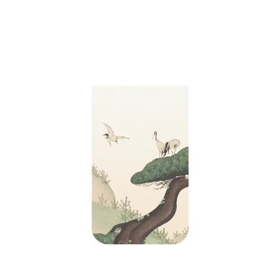 image-preview-2