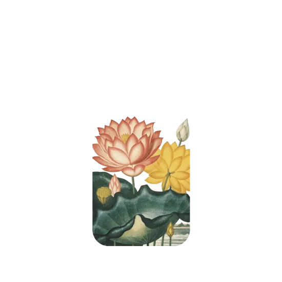 image-preview-2