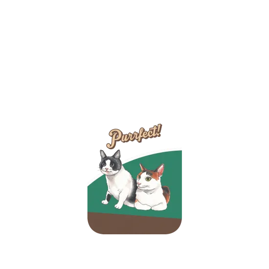 image-preview-2