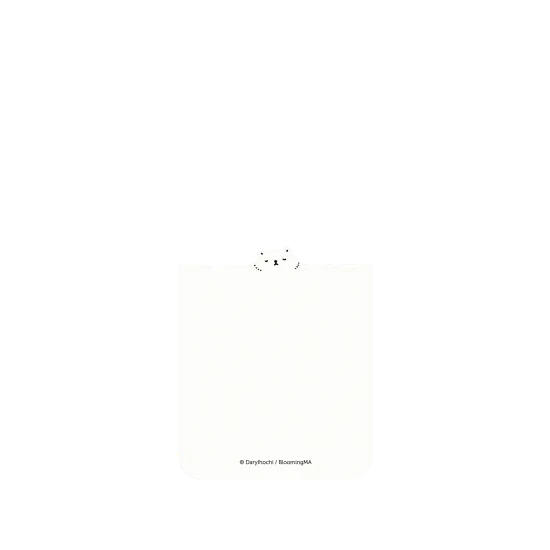 image-preview-2