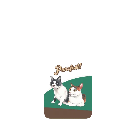 image-preview-2