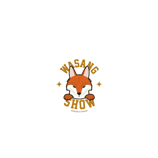 image-preview-2