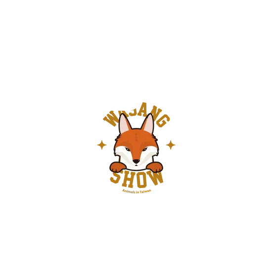 image-preview-2