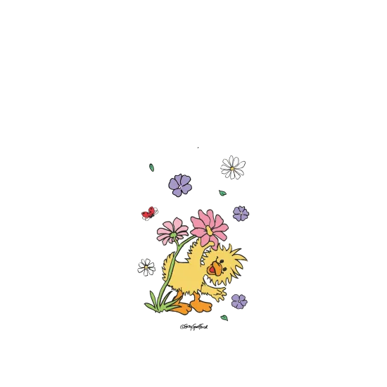 image-preview-2