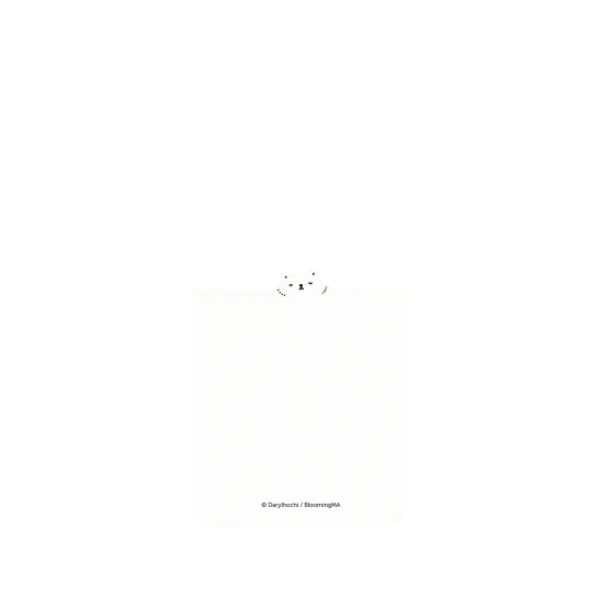 image-preview-2