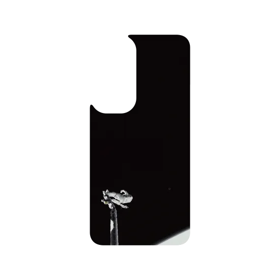 image-preview-2