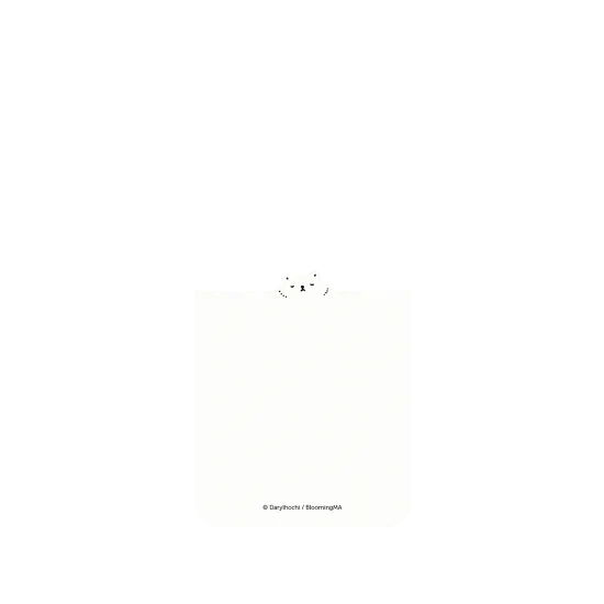 image-preview-2