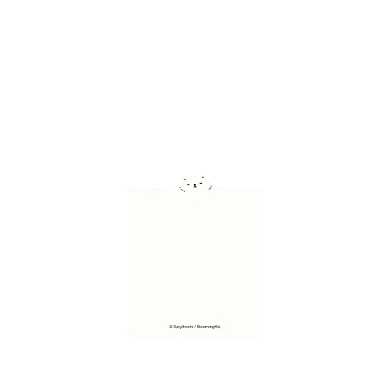 image-preview-2