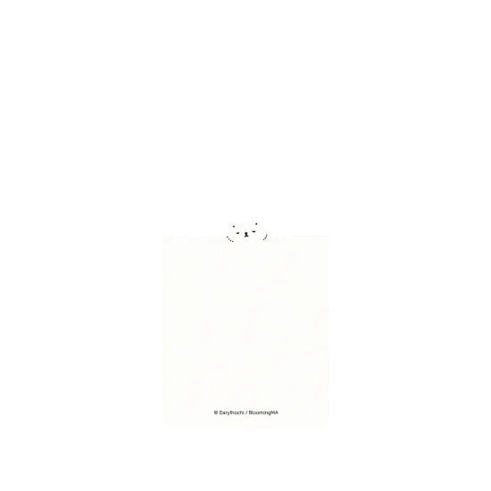 image-preview-2