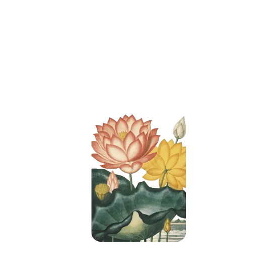 image-preview-2