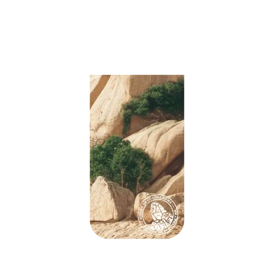image-preview-4