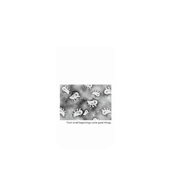 image-preview-4