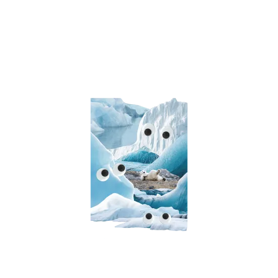 image-preview-4