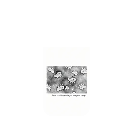 image-preview-4