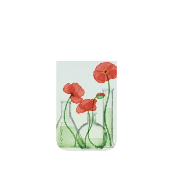 image-preview-4