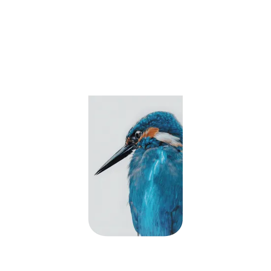 image-preview-4