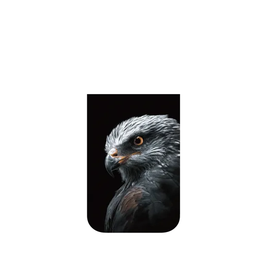 image-preview-4