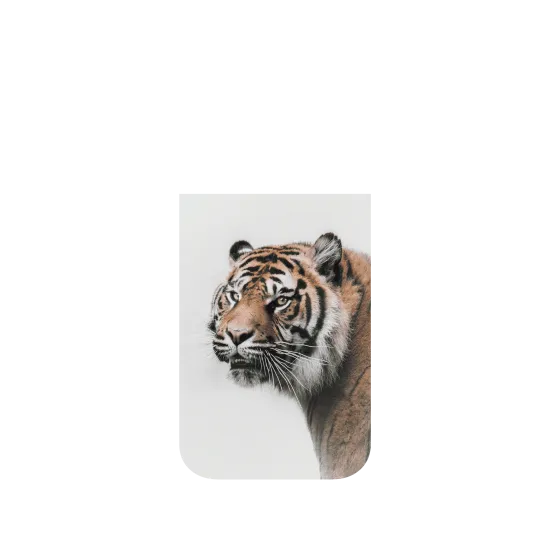 image-preview-4