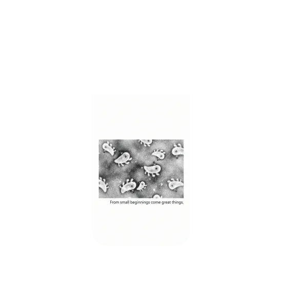 image-preview-4